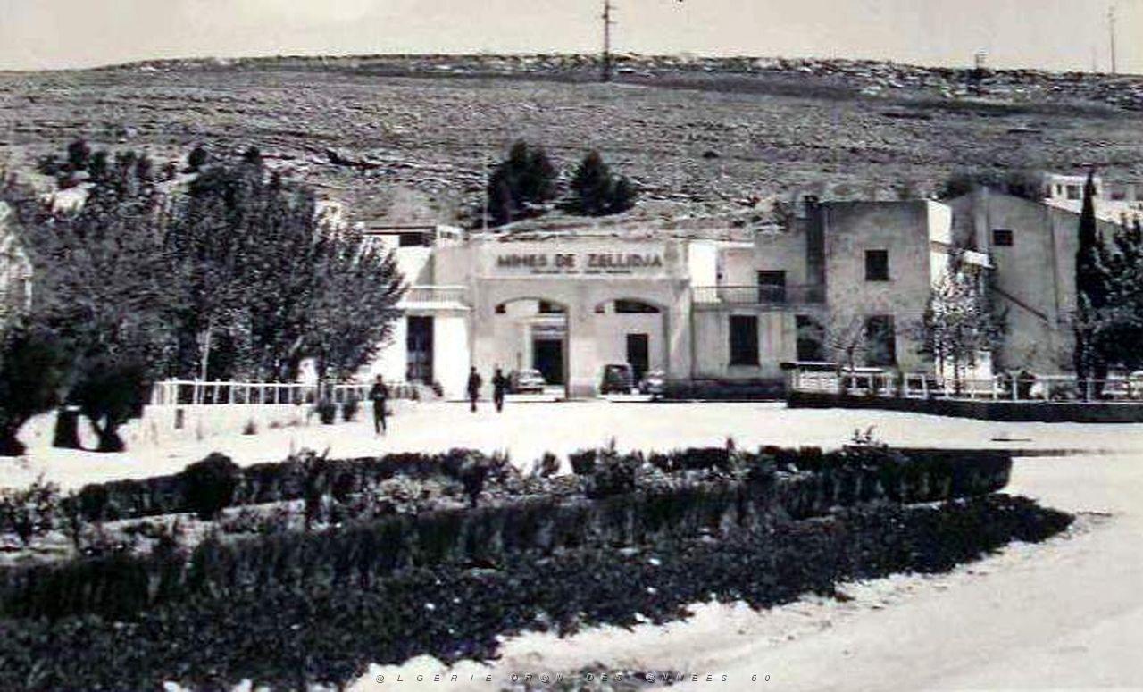 Zellidja- Bou Beker 01- annees 50.jpg